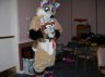Aloah: the Ohio Hawaiian Fox